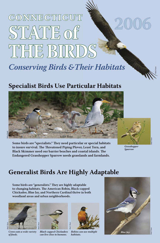 CT State of the Birds display
